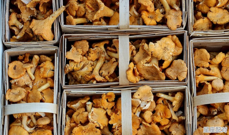 江苏过年吃饺子的地方,江苏镇江过年习俗有哪些 江苏过年吃饺子的地方,江苏镇江过年习俗有哪些 - 星座运势