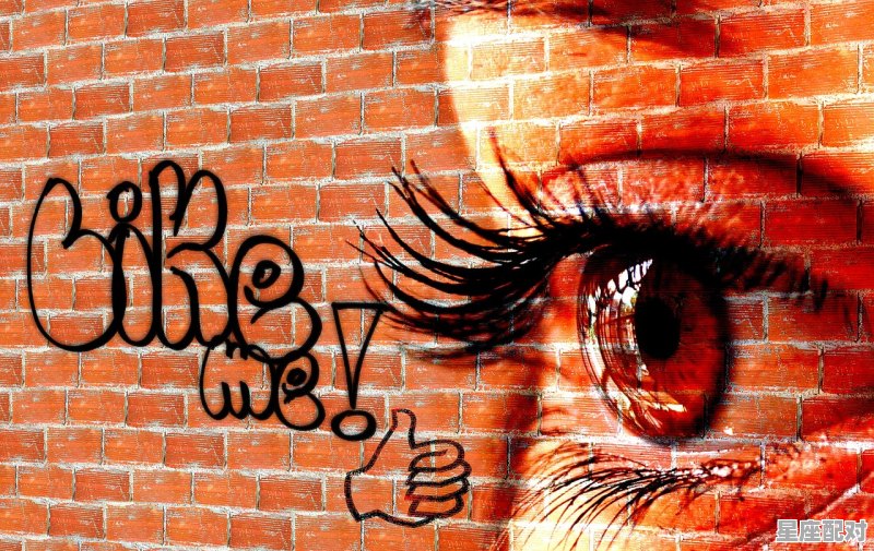 啸字代表什么动物_北风怒吼指什么动物 - 星座运势