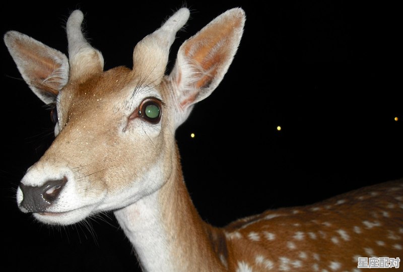 内向自卑的男生表白被拒绝后,梦到被拒绝 内向自卑的男生表白被拒绝后,梦到被拒绝 - 星座运势