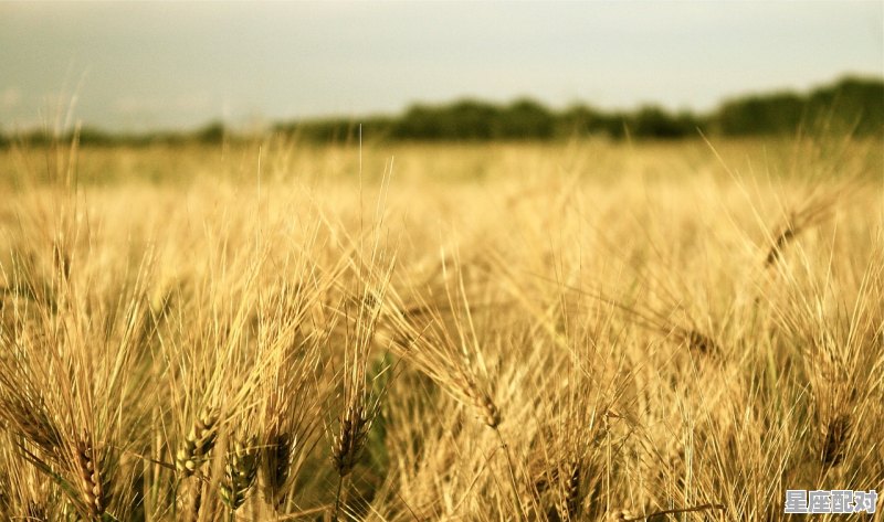 被雨淋的寓意_下雨把房子塌了有什么寓意 - 星座运势