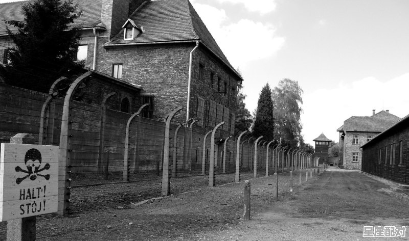 梦到爬树,梦到爬树 - 星座运势