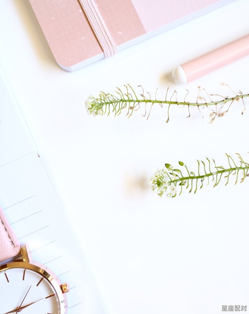 天秤男最配的星座排名_天秤座男跟哪个星座女最配 - 星座运势