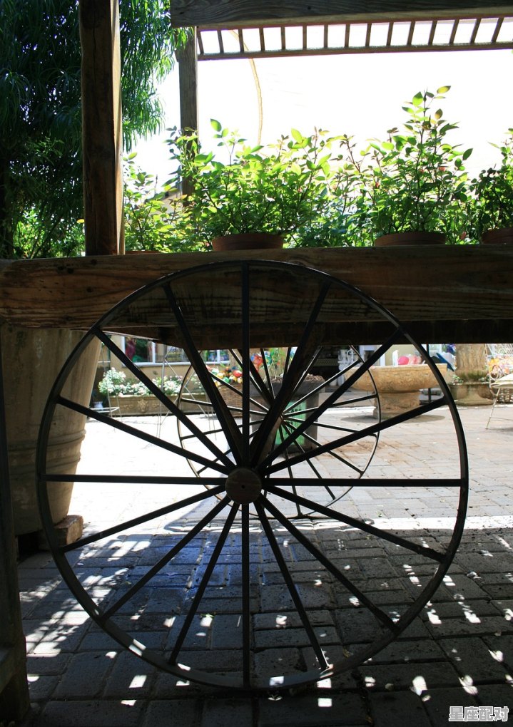 梦到什么好,梦到什么好 梦到什么好,梦到什么好 - 星座运势