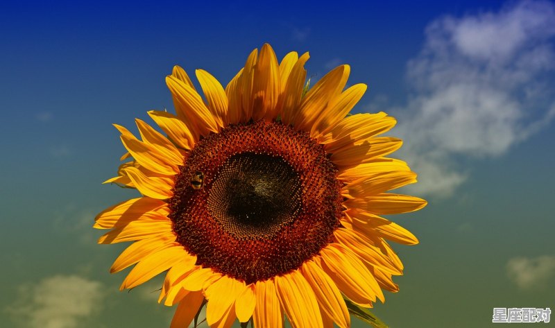 什么生肖旺蛇,什么生肖旺蛇 什么生肖旺蛇,什么生肖旺蛇 - 星座运势