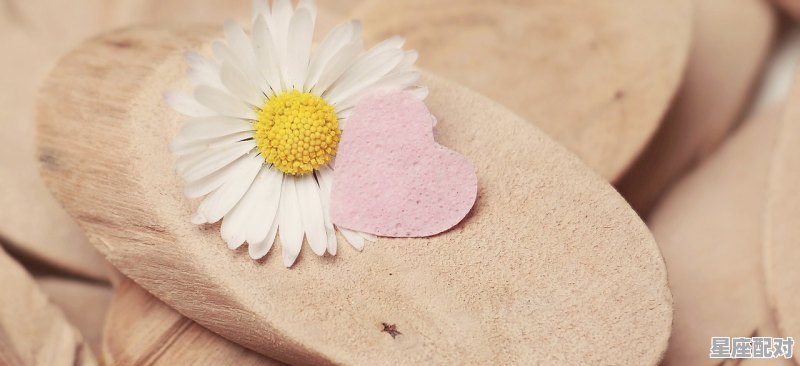 兄弟新婚祝福幽默句子,灵犀木今日运势 兄弟新婚祝福幽默句子,灵犀木今日运势 - 星座运势