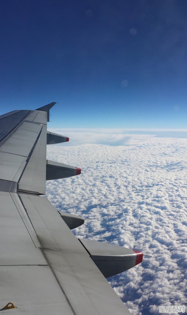 乘梦飞翔，共赢未来什么意思，梦到飞翔 - 星座运势