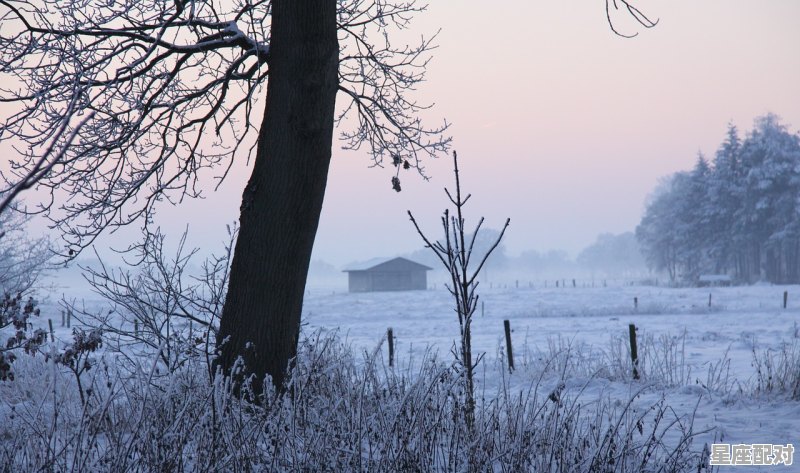 阳春三月牛下地,三月的生肖是什么 - 星座运势