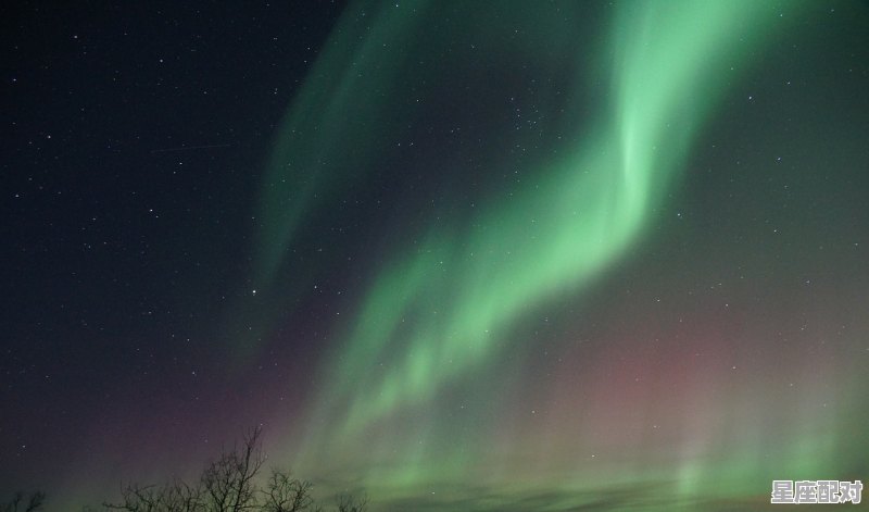 天蝎座女生性格特点，看下就知道了_天蝎女的性格特点和缺陷 - 星座运势