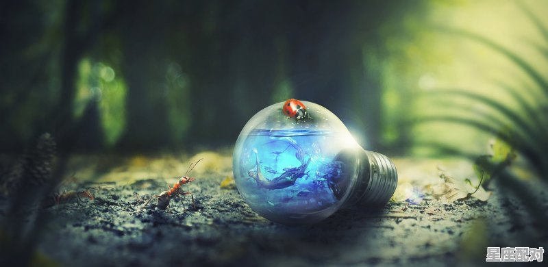 曹操为什么是巨蟹座，曹操什么星座 - 星座运势