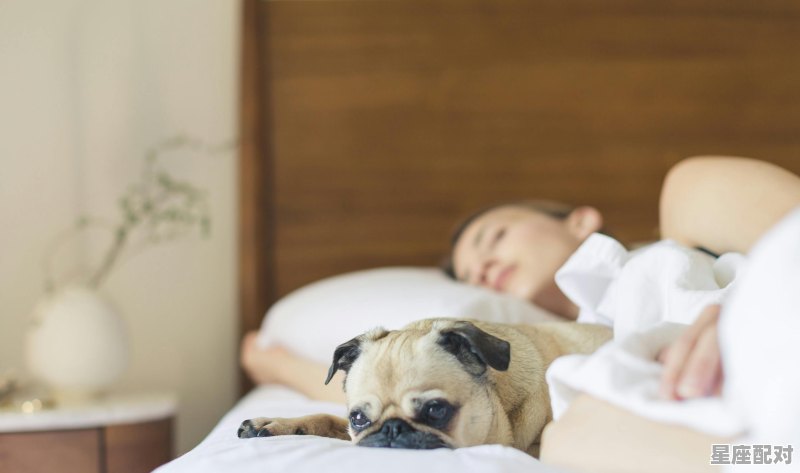 潮汕地区大仔和小仔的区别,潮汕生了弟弟第四个月拜床婆习俗 - 星座运势