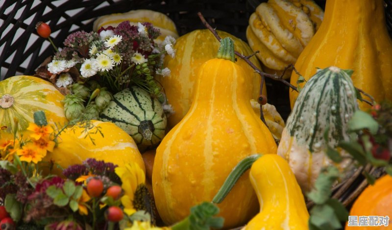 冬至吃饺子是哪的习俗,冬至吃饺子是南方还是北方习俗 - 星座运势