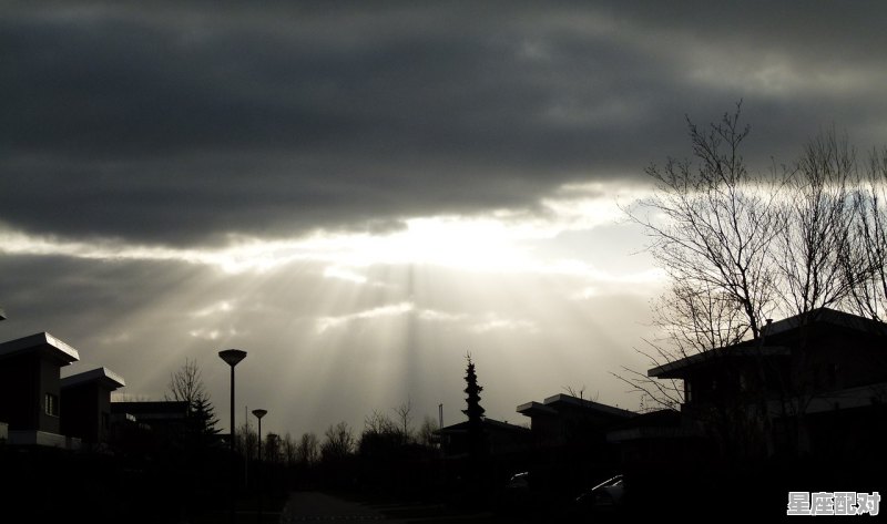 为什么会突然做一些有关爱情的梦，梦到爱情 - 星座运势