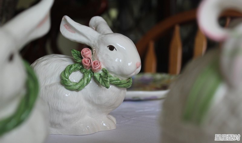 属鸡双鱼座女生性格，属鸡双鱼座男生的性格 - 星座运势