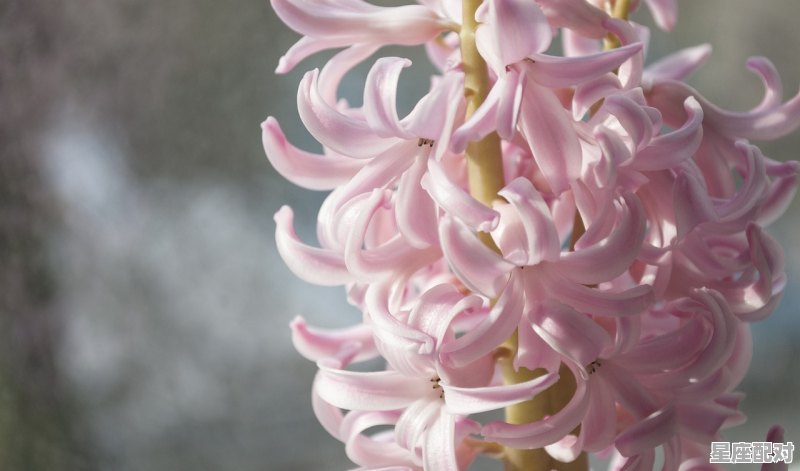 19832月24是什么星座_1983年2月19日是什么星 19832月24是什么星座_1983年2月19日是什么星 - 星座运势