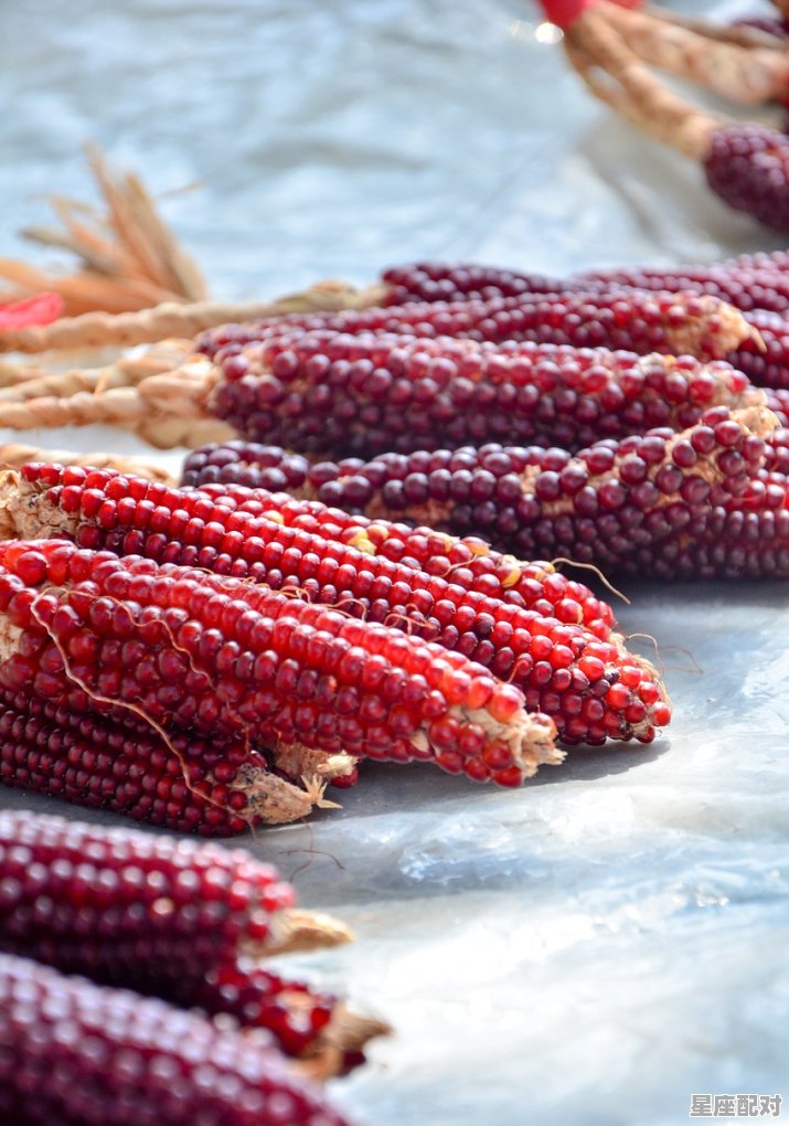 过年要做什么准备呢,过年的习俗和饮食 过年要做什么准备呢,过年的习俗和饮食 - 星座运势