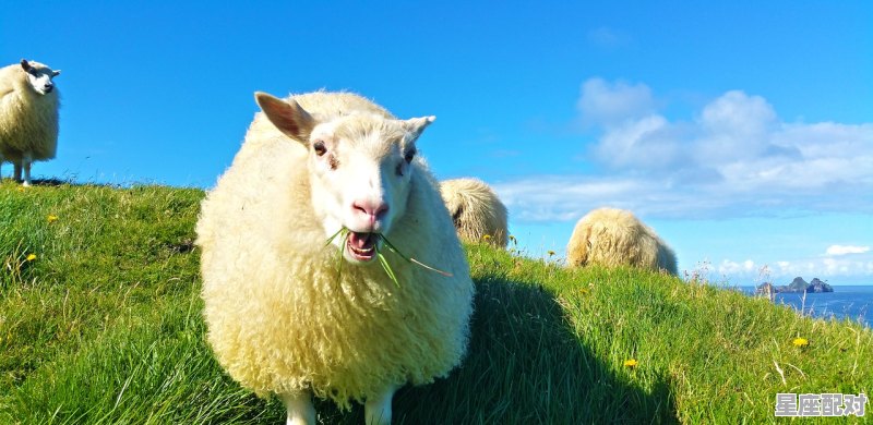 属牛的名人都是几月出生的_1973年属牛是什么星座 属牛的名人都是几月出生的_1973年属牛是什么星座 - 星座运势