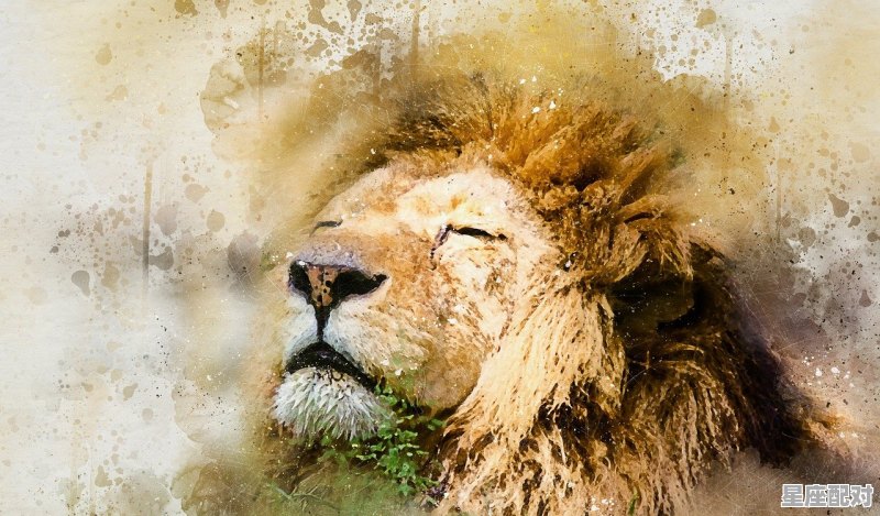 狮子座和水瓶座配吗,十二星座配对水瓶和狮子配对谁好一点 狮子座和水瓶座配吗,十二星座配对水瓶和狮子配对谁好一点 - 星座运势