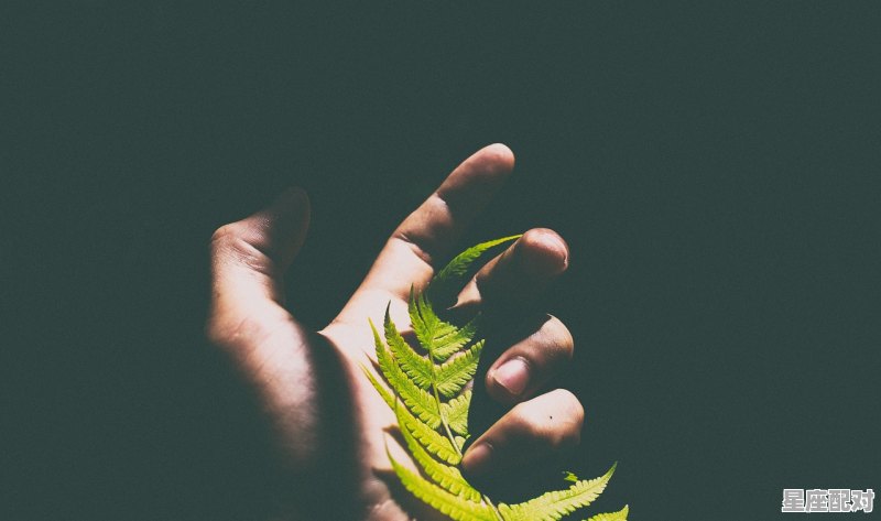 2023年78岁人属什么_2022的78岁的人属什么 - 星座运势