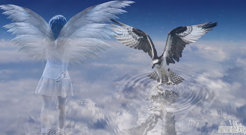 捡到鱼但是是死的是好事还是坏事,梦到捡到鱼 - 星座运势