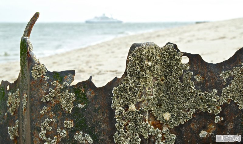 4月10日是什么月亮星座_4月10日到4月20日什么星座 - 星座运势