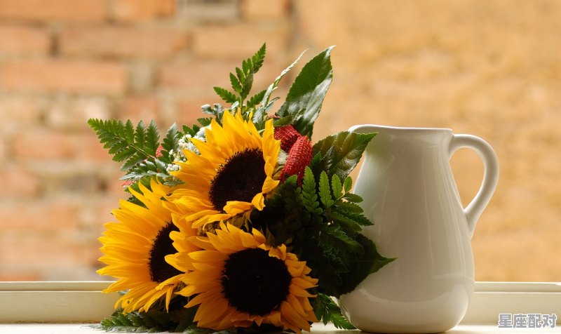 双子座下周健康运势如何,双子今日运势家庭 - 星座运势