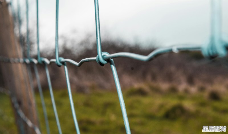 从小读四书五经(猜一属相),四书五经是什么生肖 - 星座运势