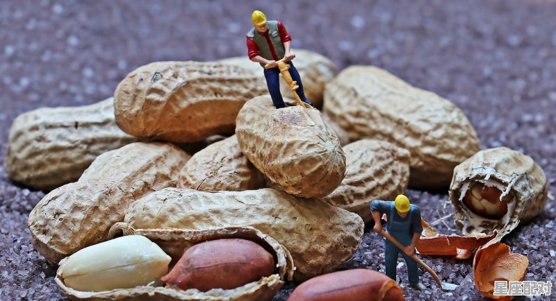 阴阳是什么数字,阳的生肖是什么生肖 - 星座运势