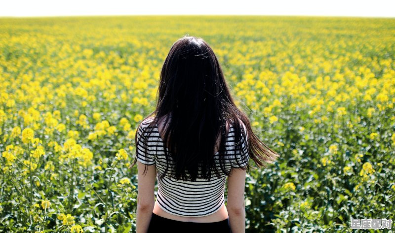 93巨蟹女感情运势_巨蟹座近期感情状态怎么样 - 星座运势