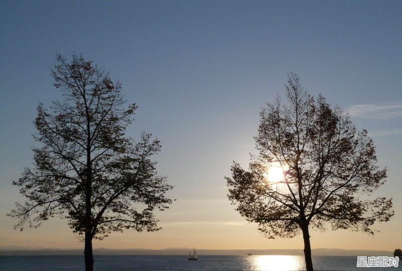 愁云散开见太阳指什么动物_言是什么生肖 - 星座运势