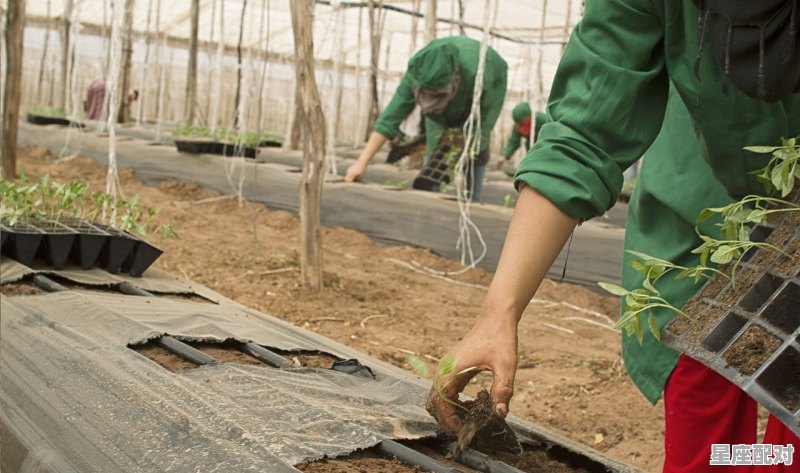 安徽省农村丧葬费抚恤金最新规定,安徽丧葬习俗和流程 - 星座运势