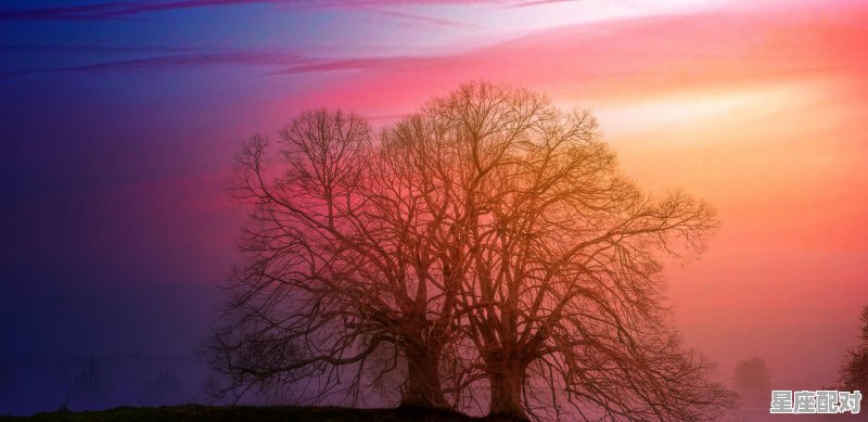 什么是土星座,什么是土星座 - 星座运势