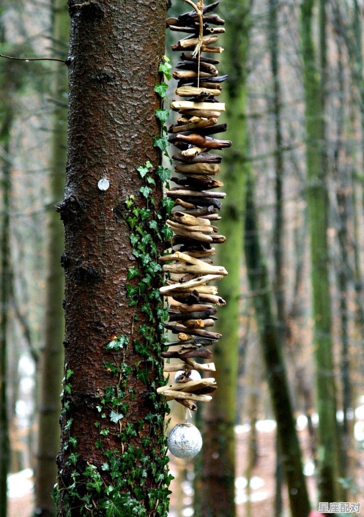 秋后的石榴成语是,梦到石榴树 秋后的石榴成语是,梦到石榴树 - 星座运势
