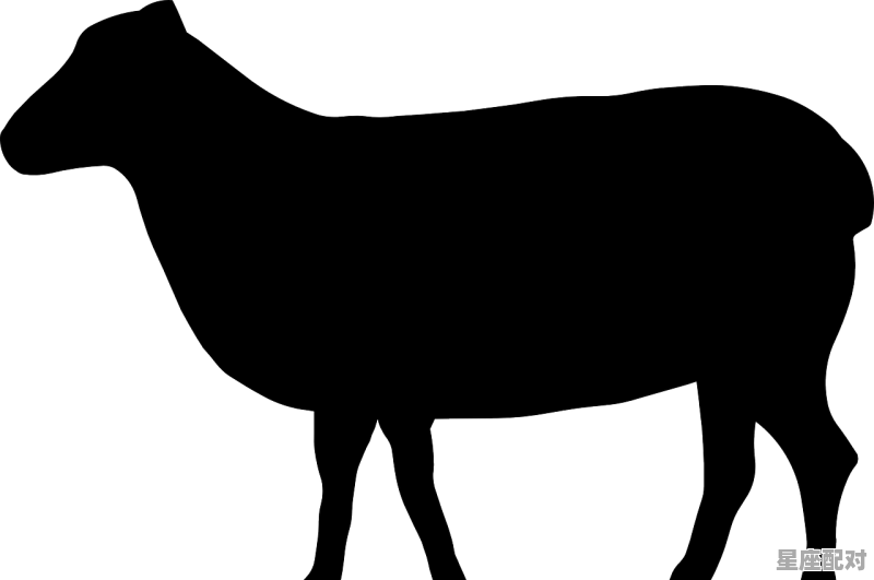 逢场作戏假好人主要是指什么动物_逢场作戏什么生肖 - 星座运势