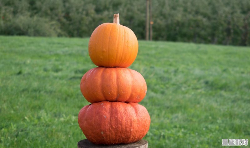 孕妇吃南瓜好吗？南瓜都有什么营养啊，孕妇梦到南瓜 - 星座运势