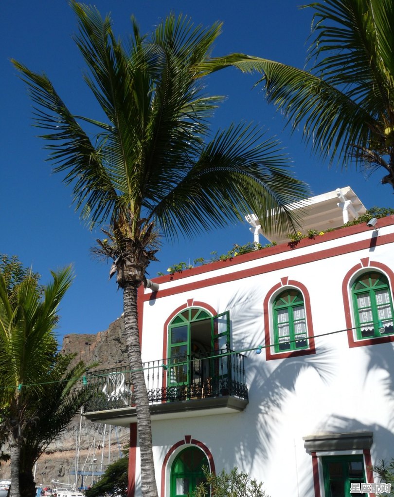 上海市有没有定期求婚场地，梦到被求婚 - 星座运势