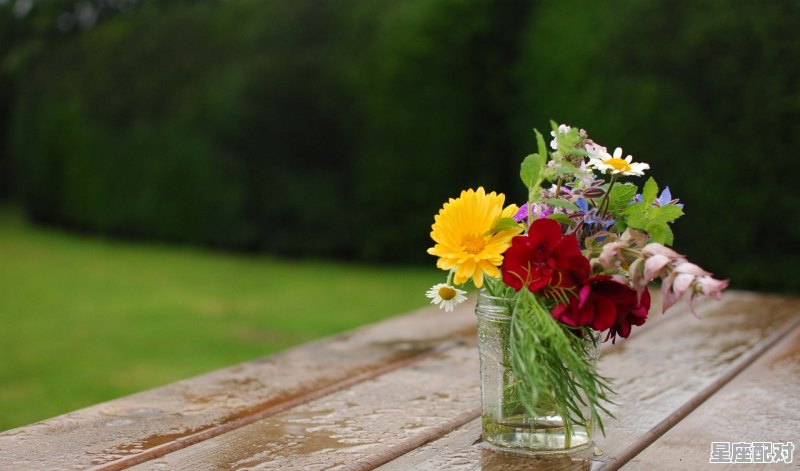 水瓶座是什么象星座,水瓶座是什么象星座 水瓶座是什么象星座,水瓶座是什么象星座 - 星座运势