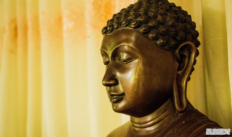 你是什么星座下一句怎么回答_程野土味情话台词 - 星座运势