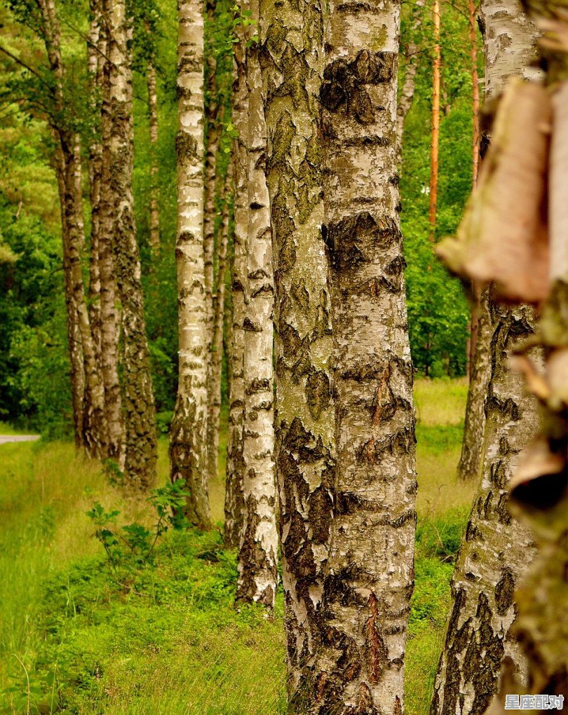 女人梦到大蛇,女人梦到大蛇 女人梦到大蛇,女人梦到大蛇 - 星座运势
