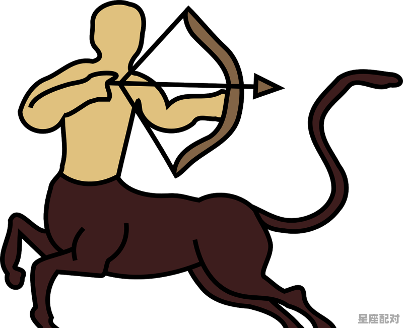 怎么跟射手座男生谈恋爱,射手和什么星座配对合适男生 - 星座运势