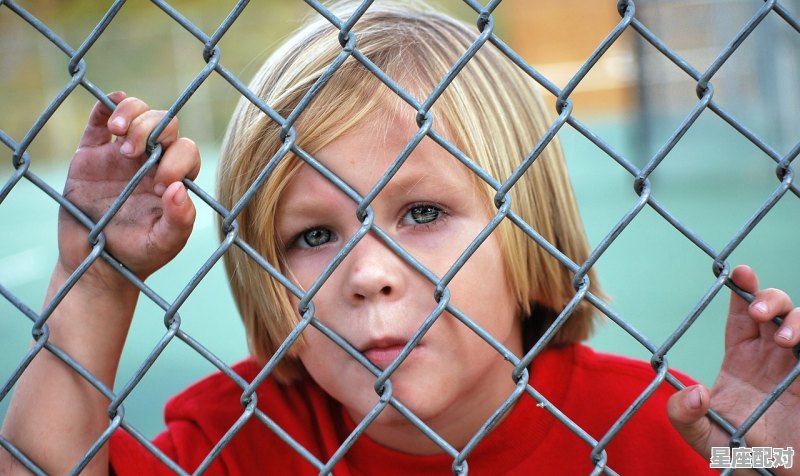 海绵宝宝海盗派斯扮演者，海绵宝宝是什么星座 - 星座运势