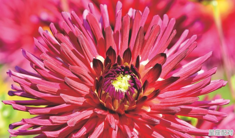 白羊座性格优势及弱点_白羊座男生真正的性格 - 星座运势