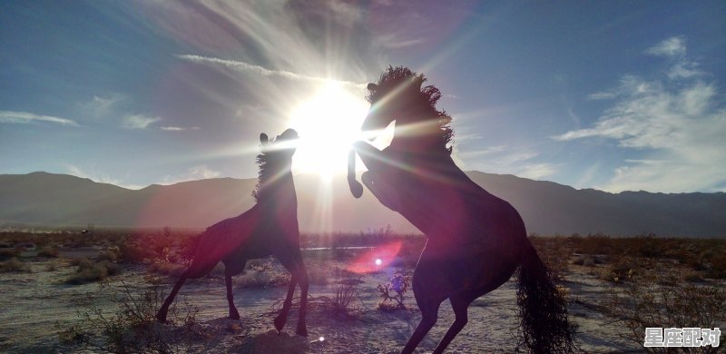 卢业媚最好听的十首歌，梦到泥路 - 星座运势