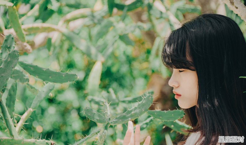 乘风破浪3成员星座，黄圣依什么星座 - 星座运势