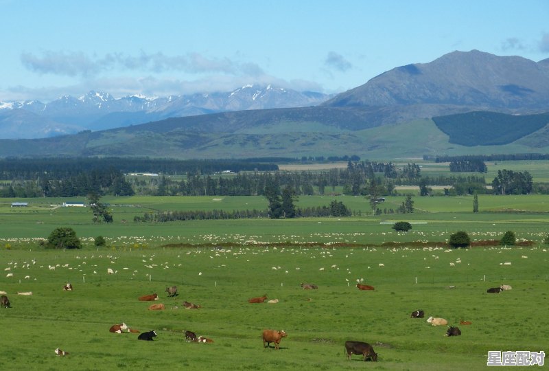 羊的弟弟是什么,牛羊成群是什么生肖 羊的弟弟是什么,牛羊成群是什么生肖 - 星座运势
