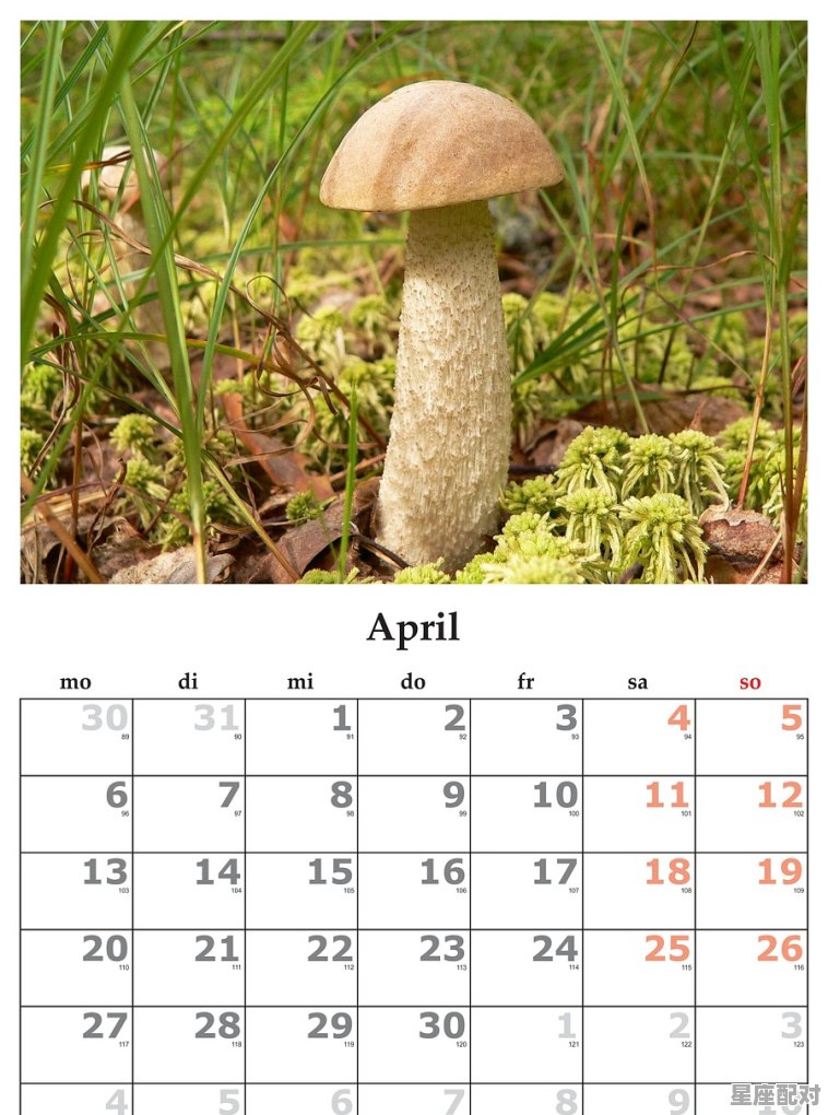 1四月是什么星座,阳历1月4是什么星座的 1四月是什么星座,阳历1月4是什么星座的 - 星座运势