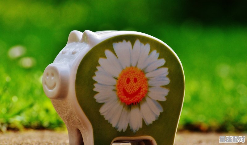 属猪的人今年多少岁,2019属猪今日运势 - 星座运势