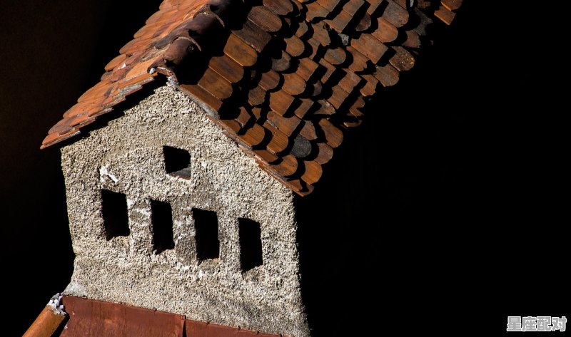 家徒四壁是什么生肖,家徒四壁是什么生肖 家徒四壁是什么生肖,家徒四壁是什么生肖 - 星座运势