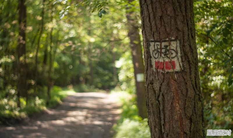 梦到偷菜,梦到偷菜 梦到偷菜,梦到偷菜 - 星座运势