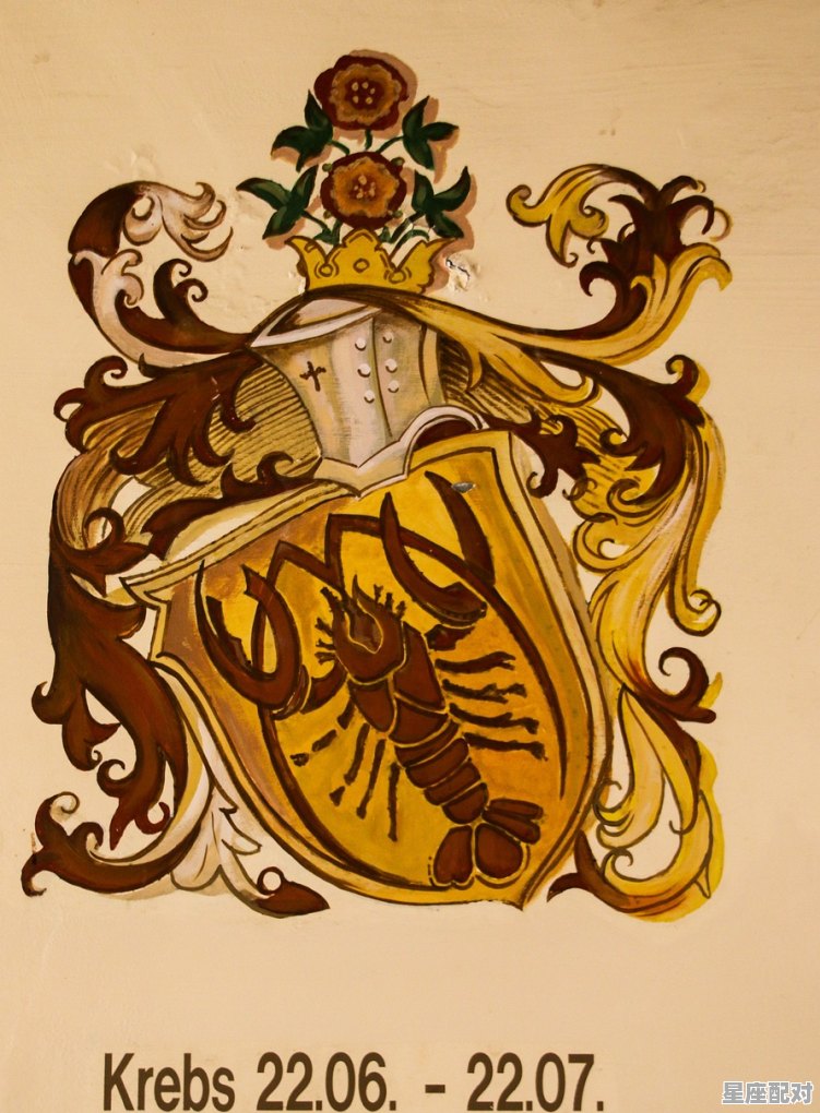 2008属相十二月是什么星座,2008年出生的什么星座 2008属相十二月是什么星座,2008年出生的什么星座 - 星座运势