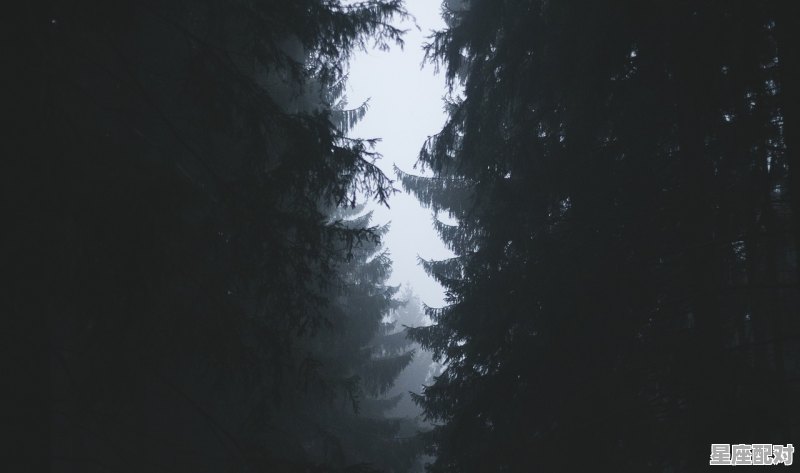 天秤女配什么星座男,天平座女生狮子座男生星座配对是什么意思呀 天秤女配什么星座男,天平座女生狮子座男生星座配对是什么意思呀 - 星座运势